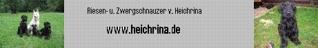 Heichrina