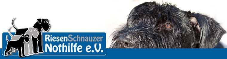 RiesenSchnauzerNothilfe e.V.