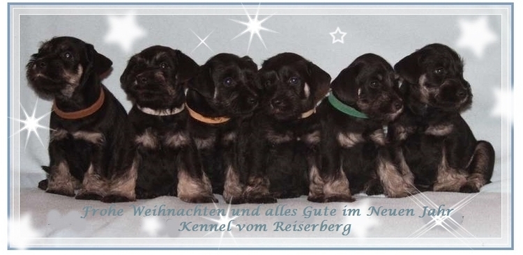 weihnachten2017.jpg